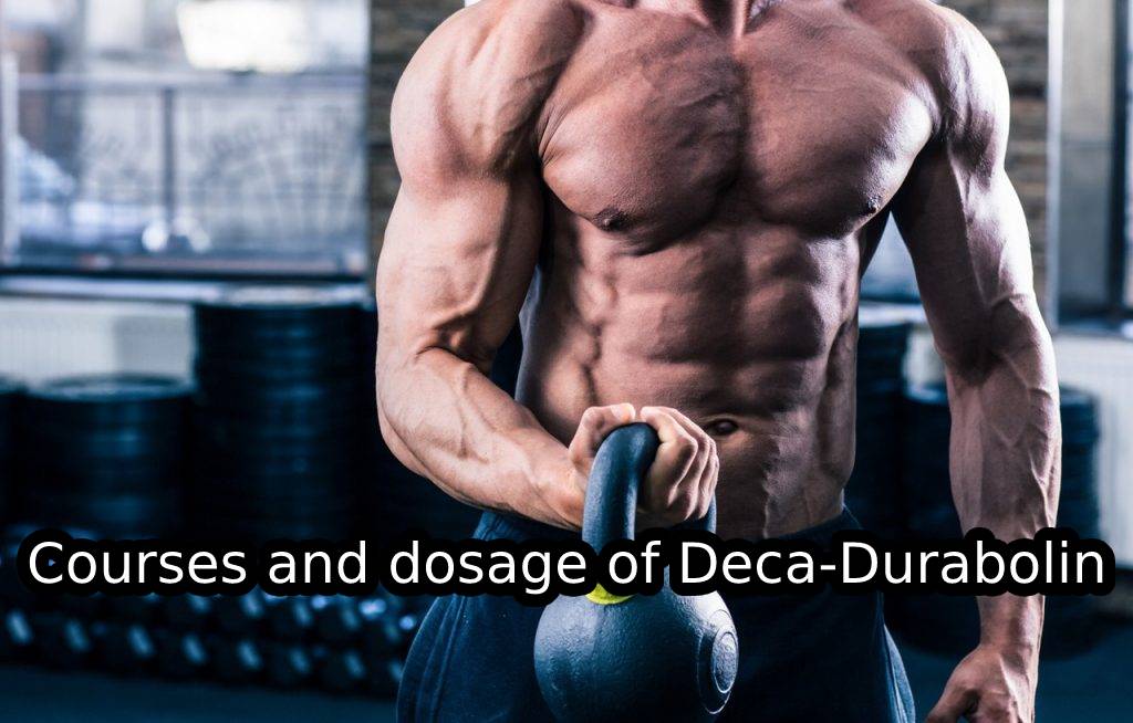 Courses and dosage of Deca-Durabolin